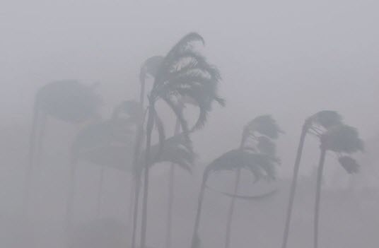 Brightway Agent tells WINK News: “It’s important to know what exactly is covered”