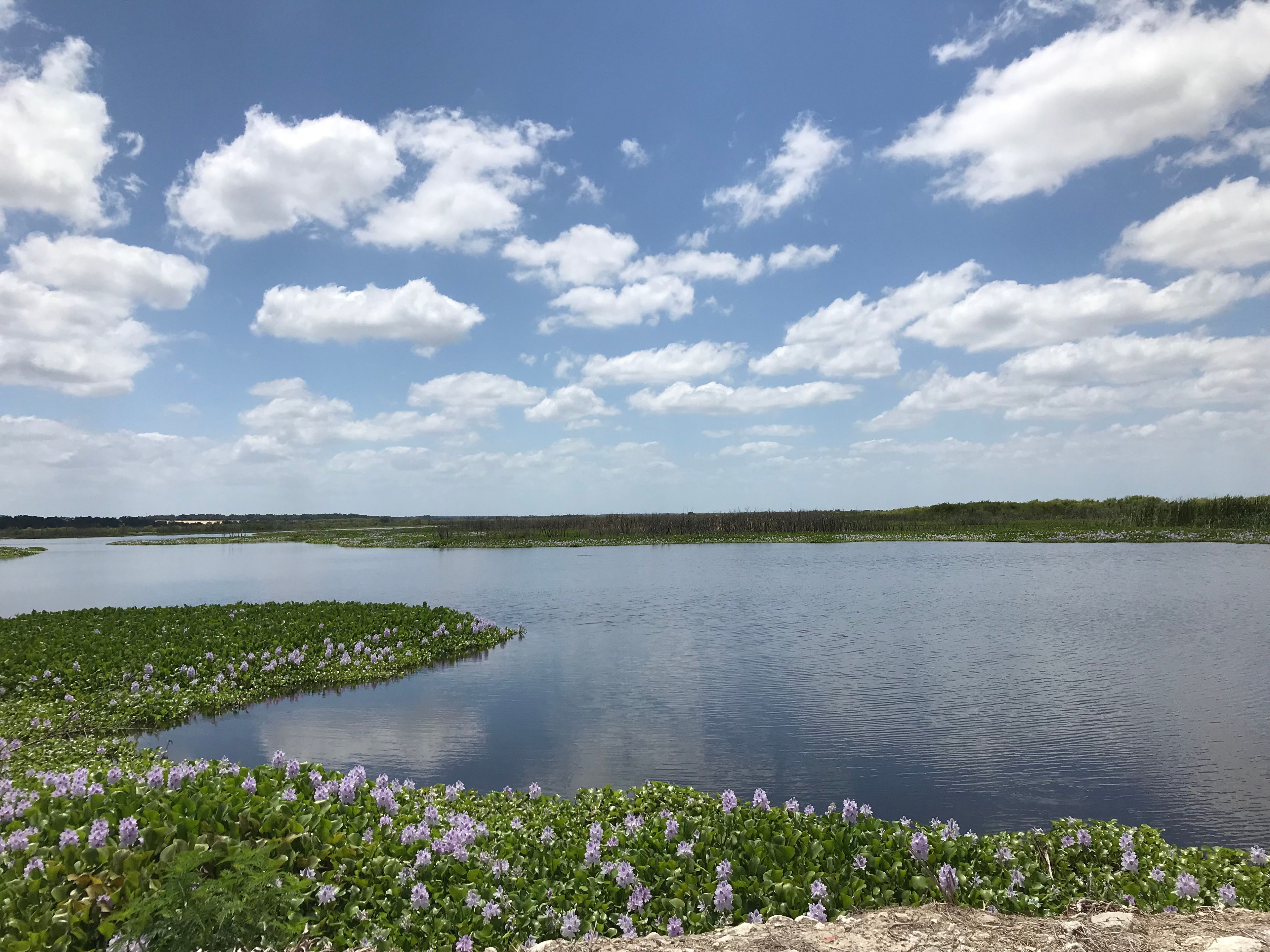 agency team hero image