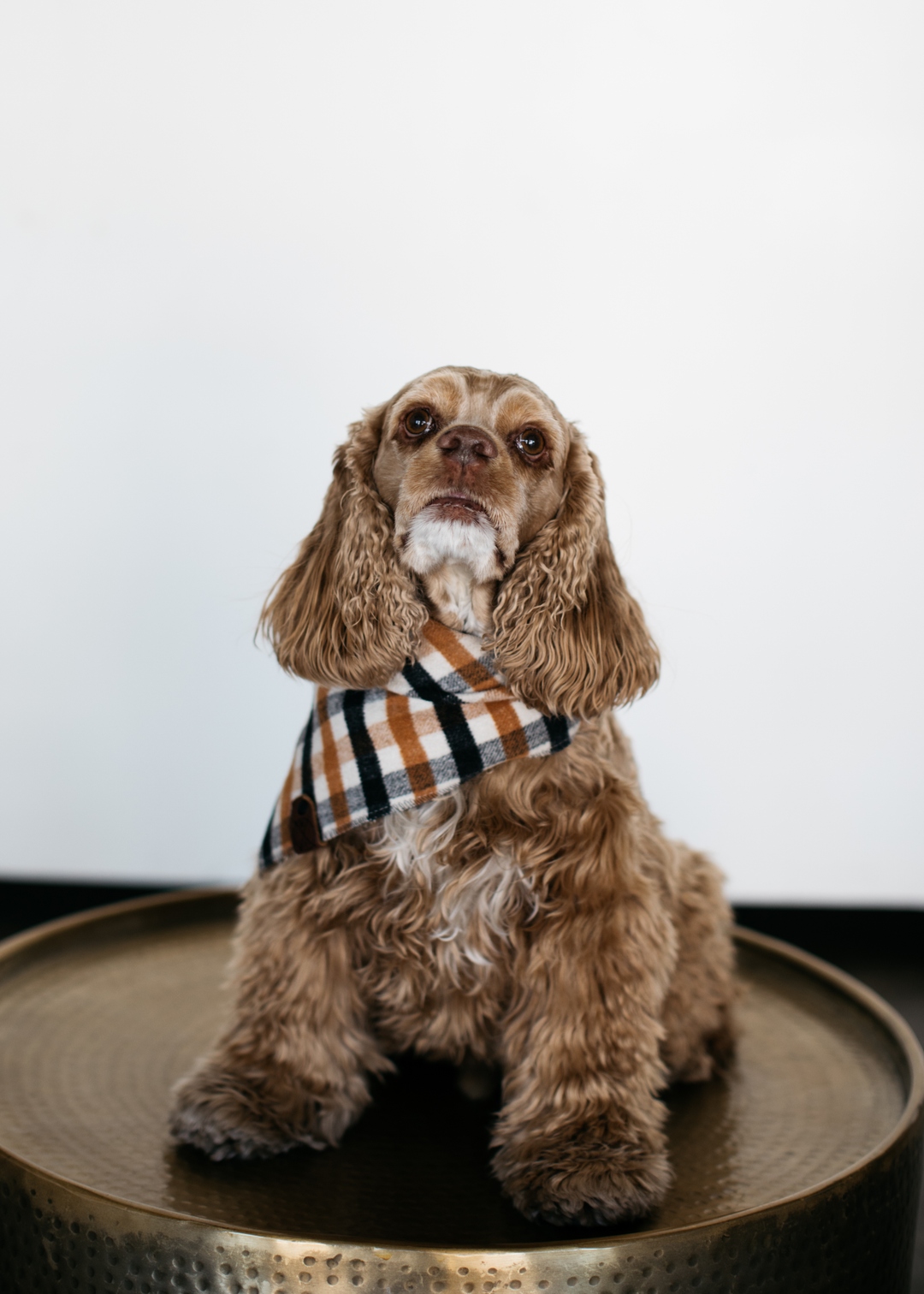 Hudson Kolk from The Kolk Agency, Brightway Insurance