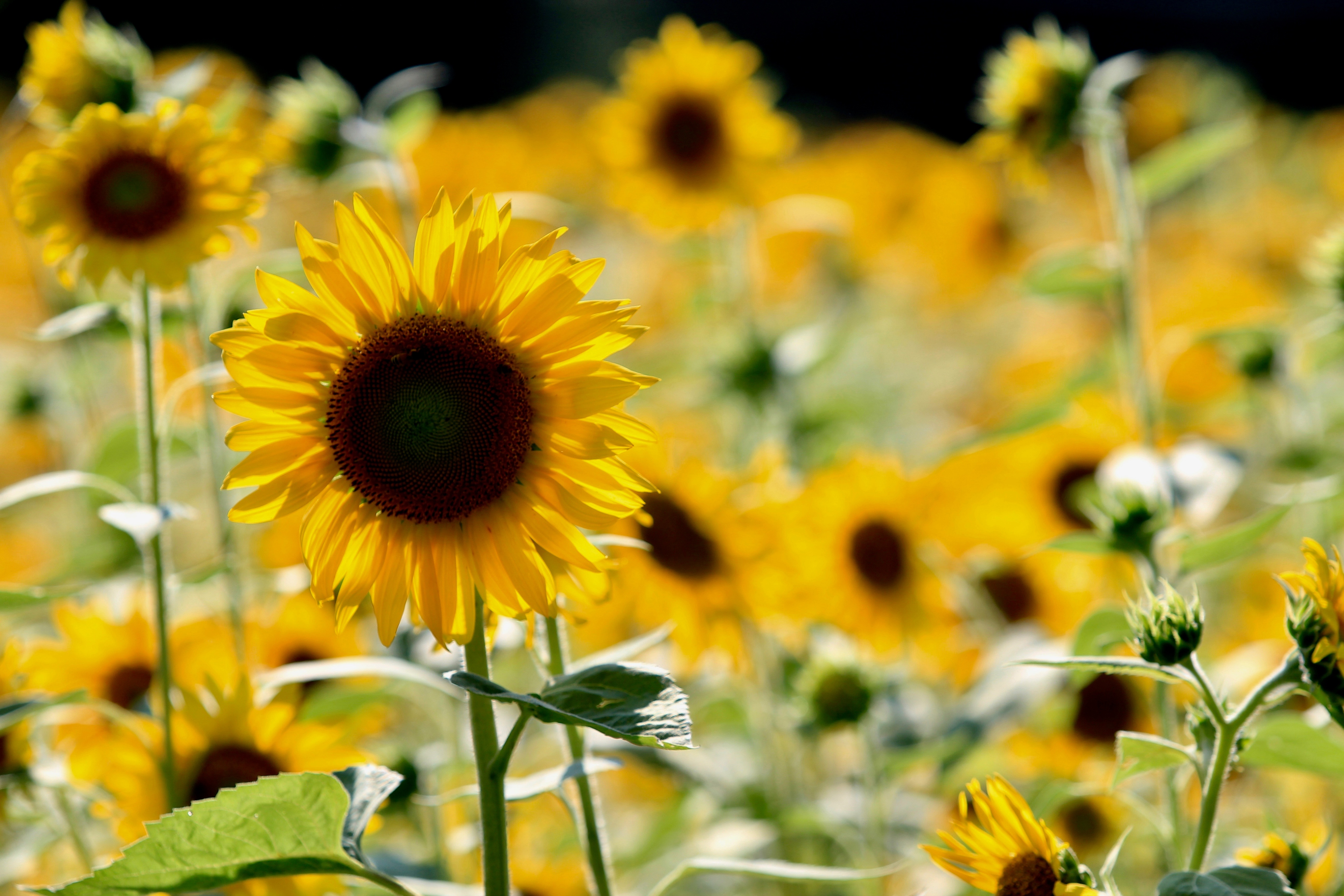 The insurance <br />agency reinvented <br />around you.<sup>®</sup>