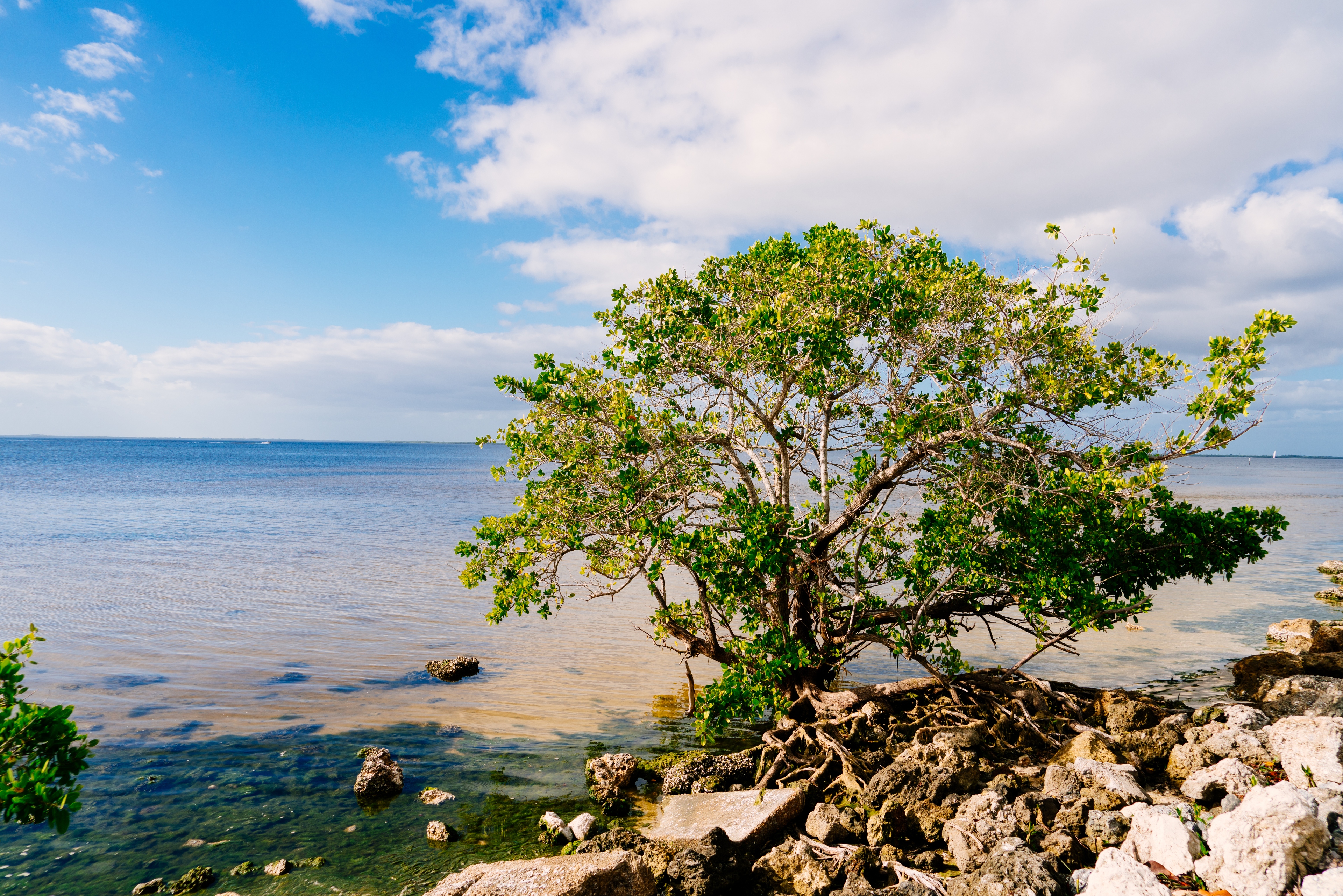 The insurance <br />agency reinvented <br />around you.<sup>®</sup>